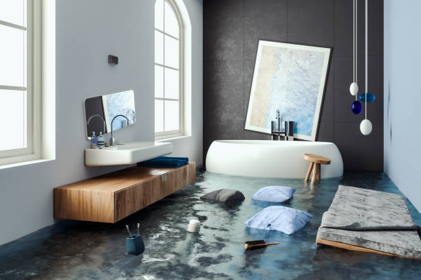 Best Mold removal after water damage  in Godley, TX