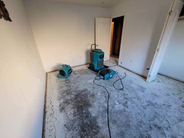 Best Water damage restoration near me  in Godley, TX