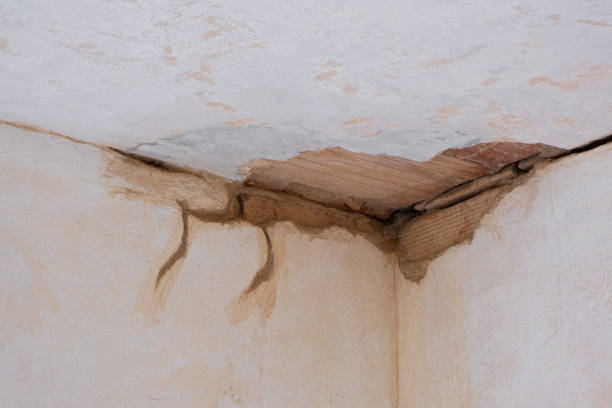  Godley, TX Water damage restoration Pros