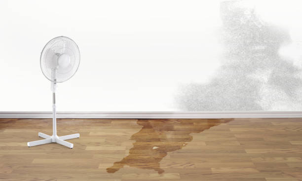 Best Carpet water damage restoration  in Godley, TX