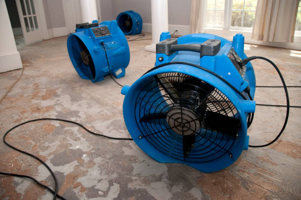 Water damage restoration process in TX